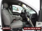2019 Ford F150 XLT Regular Cab - Auto Dealer Ontario