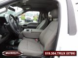 2019 Ford F150 Regular Cab XLT - Auto Dealer Ontario